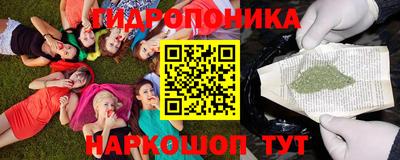 гидропоника Кулебаки