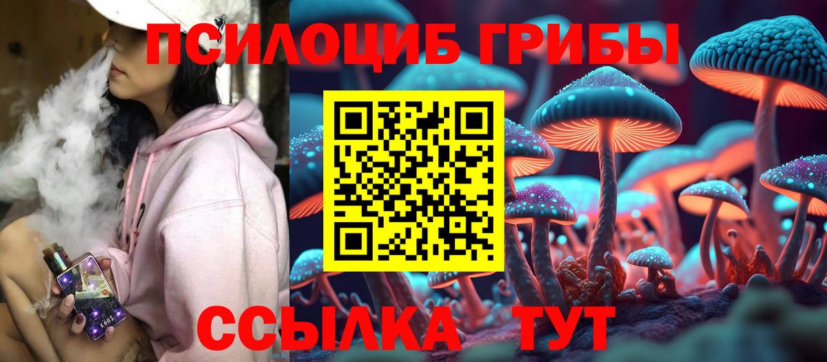 Галлюциногенные грибы ЛСД  Вход с VPN  Камышлов 