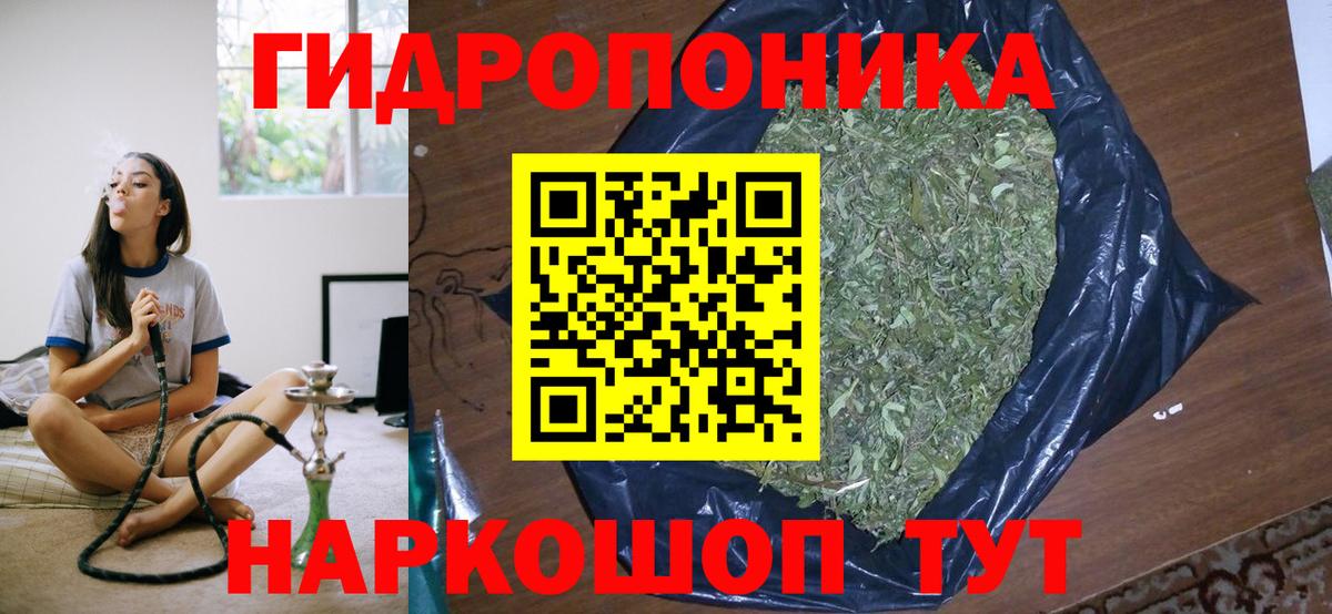 Шишки марихуана сатива  Каннабис Bruce Banner  Бошки марихуана марихуана  Камышлов  Вход с VPN 